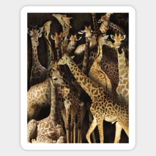 Giraffes Sticker